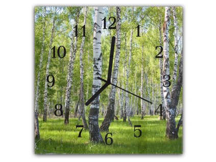 Nástěnné hodiny 30x30cm příroda břízový les (Materiál kalené sklo)