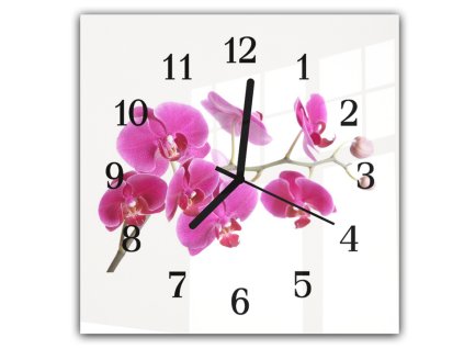 Nástěnné hodiny 30x30cm květy fialové orchideje na bílém podkladu (Materiál kalené sklo)