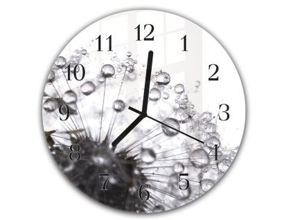 Nástěnné hodiny kulaté pr.30cm odkvetla pampeliška a rosa černo bílá (Materiál kalené sklo)