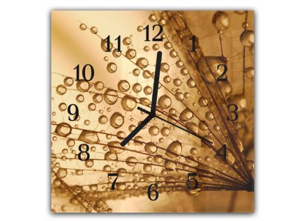 Nástěnné hodiny 30x30cm padáky pampelišky s rosou na hnědém pozadí (Materiál kalené sklo)