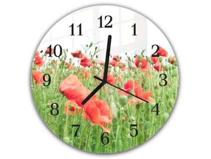 Nástěnné hodiny kulaté pr.30cm louka květy vlčích máků na bílém podkladu (Materiál kalené sklo)