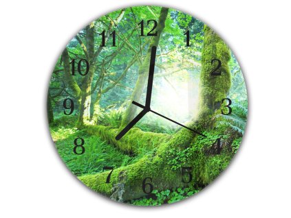 Nástěnné hodiny kulaté r.30cm zelený pohádkový les (Materiál kalené sklo)