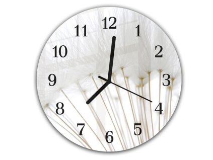 Nástěnné hodiny kulaté pr.30cm detail chmýří bílé pampelišky (Materiál kalené sklo)