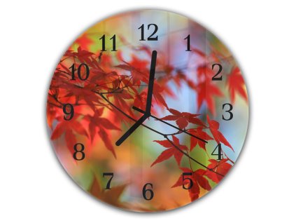 Nástěnné hodiny kulaté pr.30cm větev japonského javoru na podzim (Materiál kalené sklo)