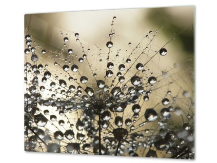 Ochranná deska odkvetla pampeliška s rosou hnědé pozadí (Lepení na zeď S lepením na zeď, Rozměr 2x 52x30 cm)