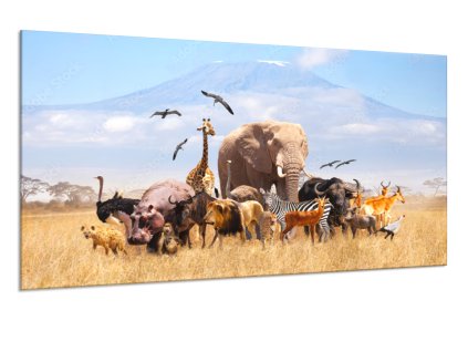 Obraz skleněný africké zvířata v přírodě (Rozměry-obdélník 90 x 120 cm)
