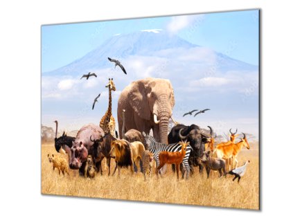 Ochranná deska skupina afrických zvířat pod Klilimajaro (Lepení na zeď S lepením na zeď, Rozměr 70x70 cm)