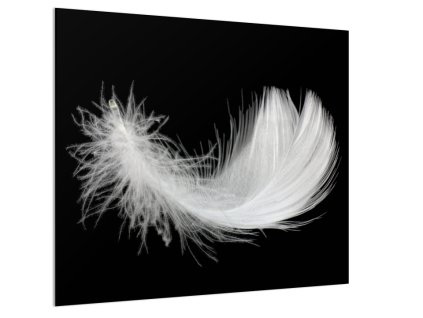 Sklo do kuchyně bílé peří na černém podkladu (Rozměr 60 x 150 cm)