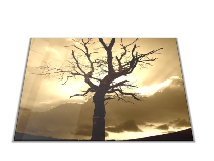 Skleněné prkénko západ slunce, silueta stromu (Prkénko 40x30cm)