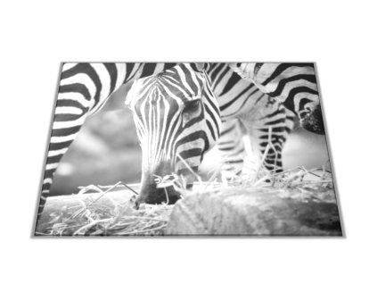 Skleněné prkénko s motivem černobílá zebra (Prkénko 40x30cm)