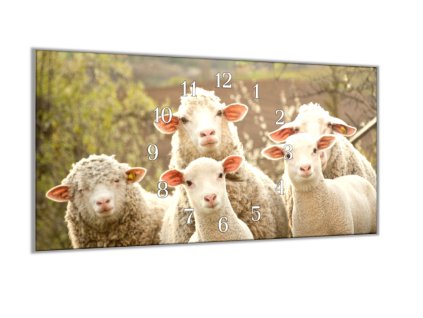 Nástěnné hodiny 30x60cm ovce a jehňata na pastvě (Materiál kalené sklo)