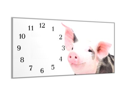 Nástěnné hodiny 30x60cm vesele prase (Materiál kalené sklo)