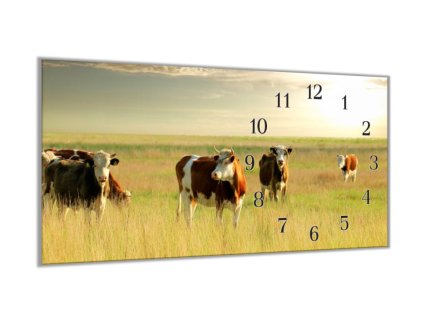 Nástěnné hodiny 30x60cm býci na pastvě (Materiál kalené sklo)