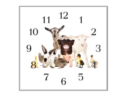 Nástěnné hodiny 30x30cm domácí zvířata, farma (Materiál kalené sklo)