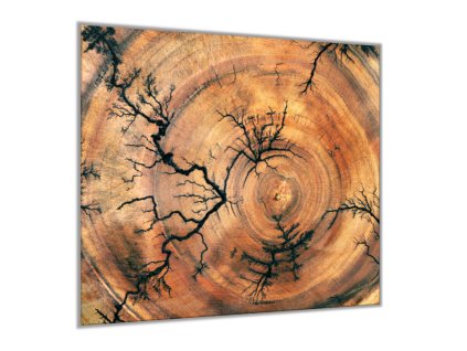 Sklo do kuchyně ornament řez dřeva hruška (Rozměry skla do kuchyně 60 x 150 cm)