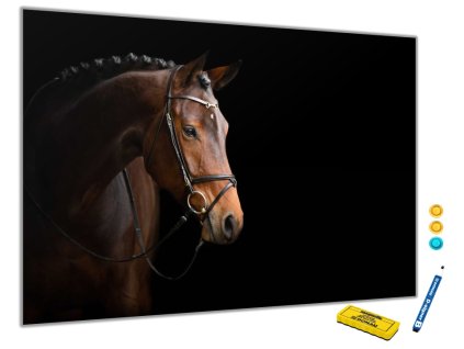 Metalová magnetická tabule - hnědý kůň na černém (Rozměr 60x90cm)