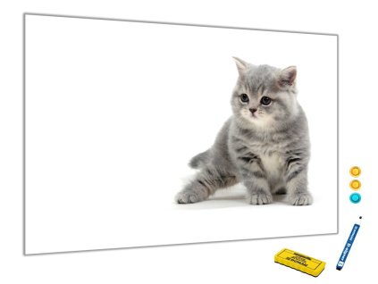 Metalová magnetická tabule - kočka (Rozměr 90 x 60 cm)