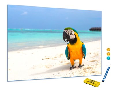 Metalová magnetická tabule - papoušek Ara (Rozměr 90 x 60 cm)