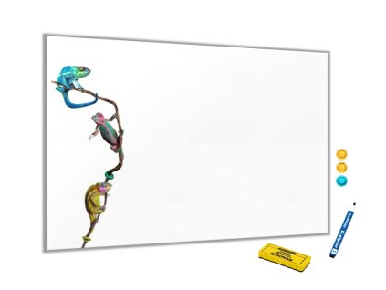 Metalová magnetická tabule - barevný chameleon (Rozměr 90 x 60 cm)