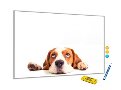 Metalová magnetická tabule - roztomilý pes bígl (Rozměr 90 x 60 cm)