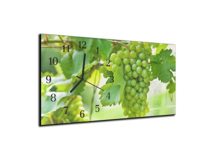 Nástěnné hodiny 30x60cm - trs vinné révy (Materiál kalené sklo)