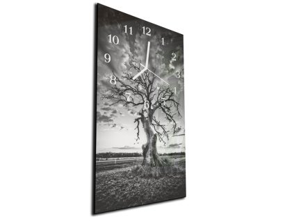 Nástěnné hodiny 30x60cm černo bílý suchý strom (Materiál kalené sklo)