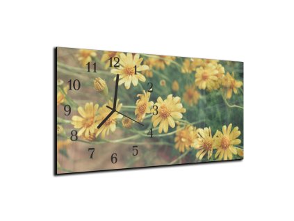 Nástěnné hodiny květy žluté kopretiny  30x60cm (Materiál kalené sklo)