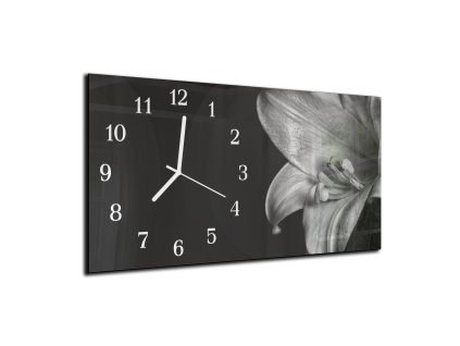 Nástěnné hodiny černobílý květ lilie 30x60cm (Materiál kalené sklo)