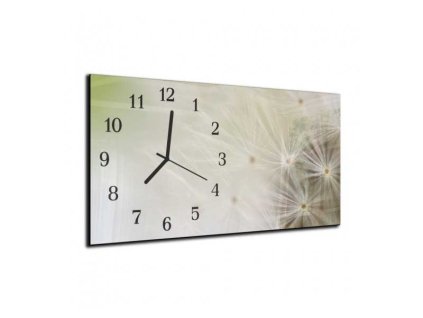 Nástěnné hodiny odkvetlá pampeliška 30x60cm IV (Materiál kalené sklo)