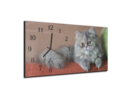 Nástěnné hodiny 30x60cm perská kočka (Materiál kalené sklo)