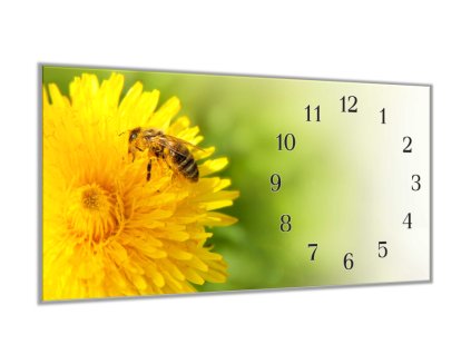 Nástěnné hodiny 30x60cm včela na květu pampelišky (Materiál kalené sklo)