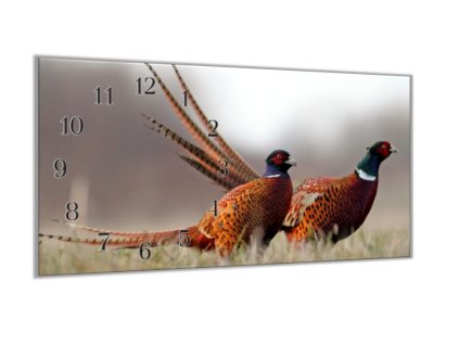 Nástěnné hodiny 30x60cm dva bažanti na louce (Materiál kalené sklo)