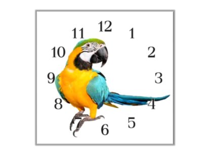 Nástěnné hodiny 30x30cm papoušek ara ararauna (Materiál kalené sklo)