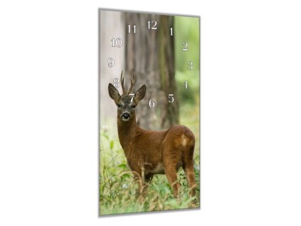 Nástěnné hodiny 30x60cm srnec v lese (Materiál kalené sklo)