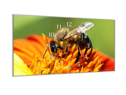 Nástěnné hodiny 30x60cm včela na květu (Materiál kalené sklo)