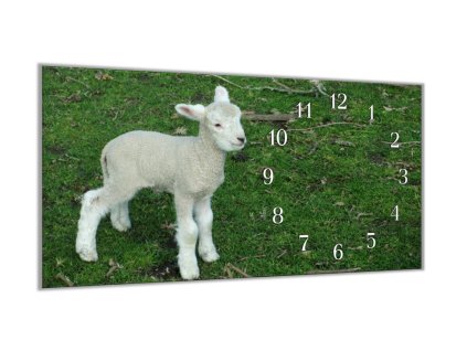 Nástěnné hodiny 30x60cm jehně na trávě (Materiál kalené sklo)