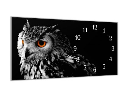 Nástěnné hodiny 30x60cm dravý pták výr (Materiál kalené sklo)