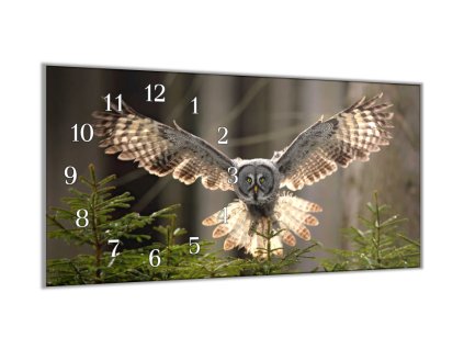 Nástěnné hodiny 30x60cm letící sova (Materiál kalené sklo)
