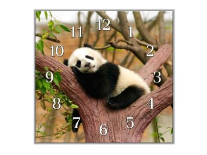 Nástěnné hodiny 30x30cm spící medvídek panda (Materiál kalené sklo)