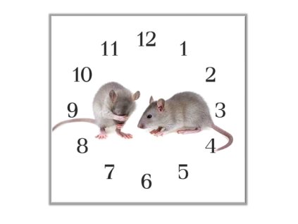 Nástěnné hodiny 30x30cm malé myši (Materiál kalené sklo)