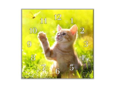 Nástěnné hodiny 30x30cm kotě a motýl (Materiál kalené sklo)