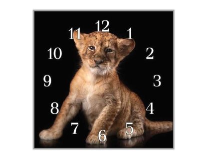 Nástěnné hodiny 30x30cm malé lvíče (Materiál kalené sklo)