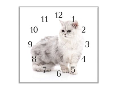 Nástěnné hodiny 30x30cm mourovaná kočka (Materiál kalené sklo)