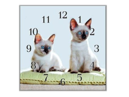 Nástěnné hodiny 30x30cm siamské kočky na podložce (Materiál kalené sklo)