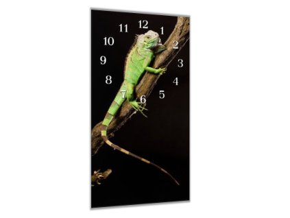 Nástěnné hodiny 30x60cm leguán na větvi (Materiál kalené sklo)