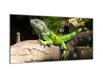 Nástěnné hodiny 30x60cm zelený leguán na kmeni (Materiál kalené sklo)