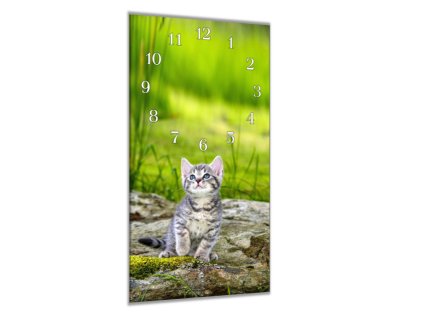 Nástěnné hodiny 30x60cm šedé kotě v přírodě (Materiál kalené sklo)