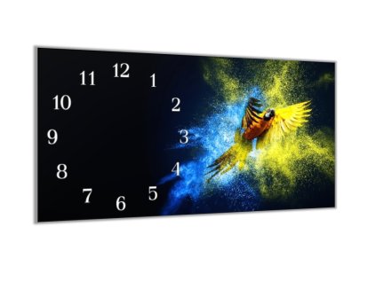 Nástěnné hodiny 30x60cm papoušek Ara Ararauna (Materiál kalené sklo)