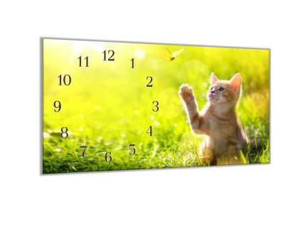 Nástěnné hodiny 30x60cm kotě v trávě a motýlem (Materiál kalené sklo)
