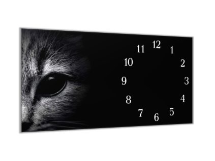 Nástěnné hodiny 30x60cm detail hlavy kočky (Materiál kalené sklo)
